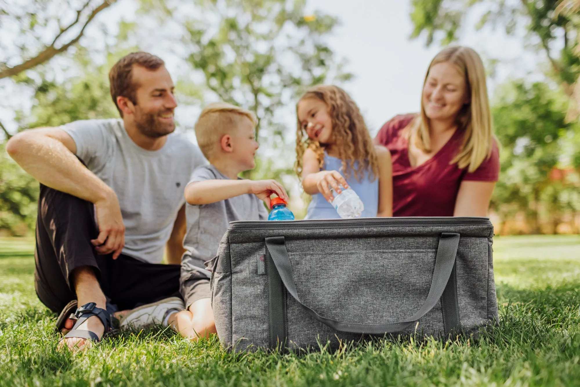 Minnesota Vikings - 64 Can Collapsible Cooler