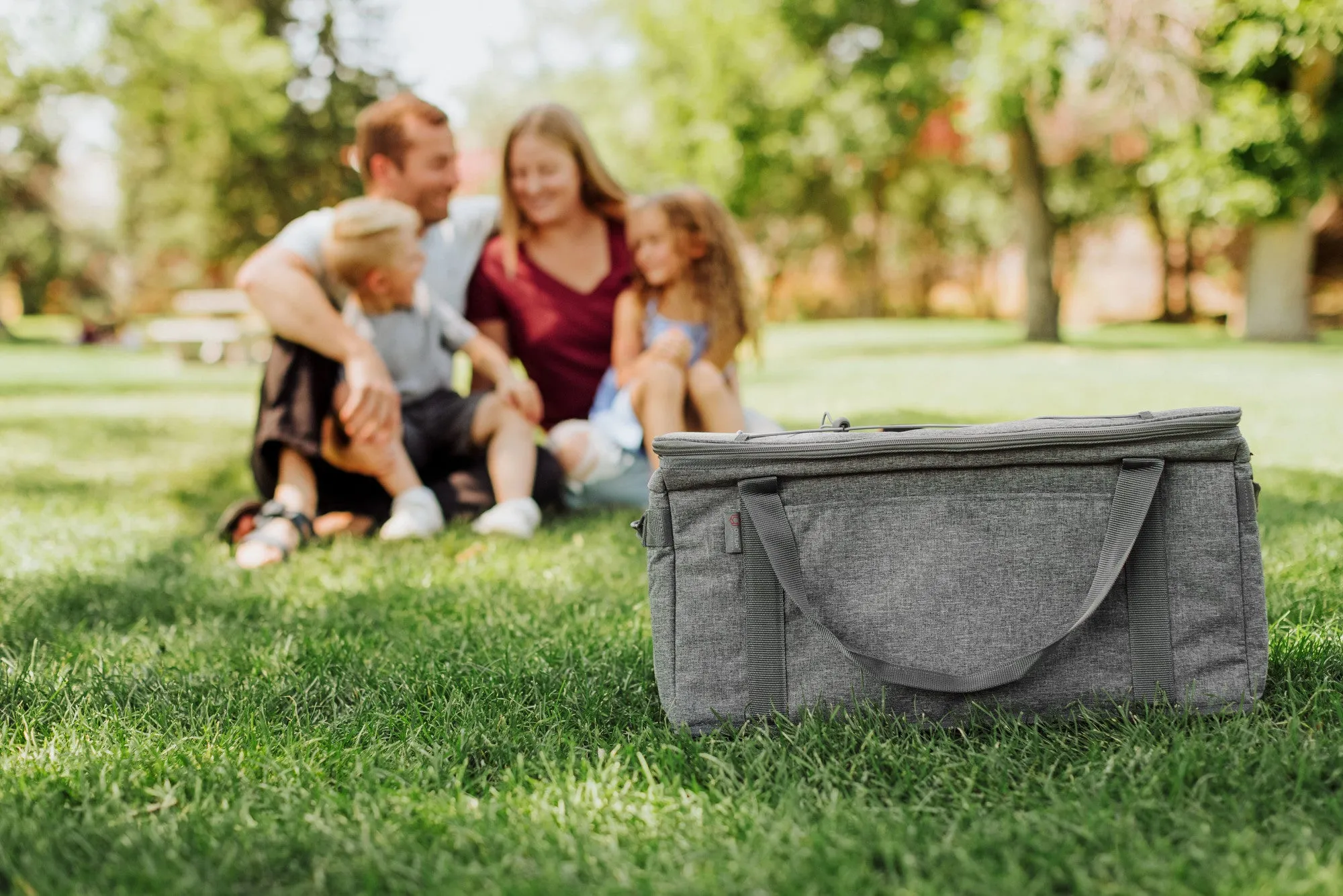 Minnesota Vikings - 64 Can Collapsible Cooler