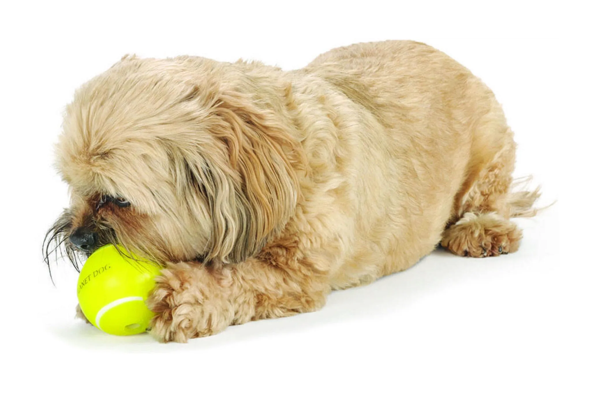 Orbee Sport Tennis Ball