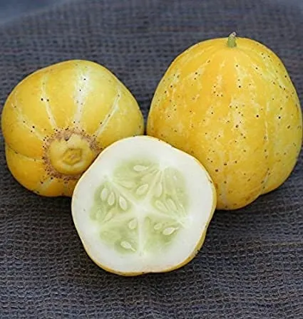 Rare Heirloom Organic Lemon Cucumber Seeds