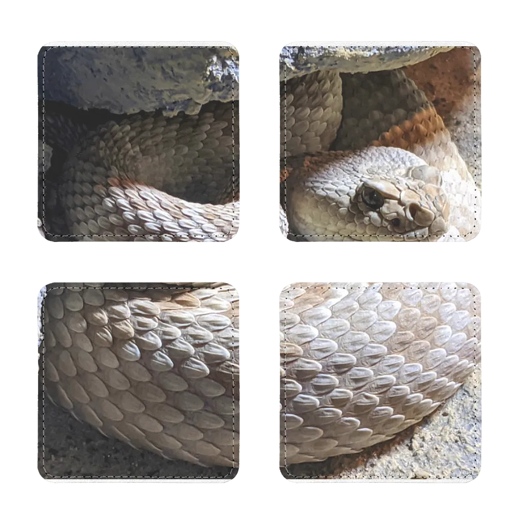 Snake Sublimation Coasters Pack of Four