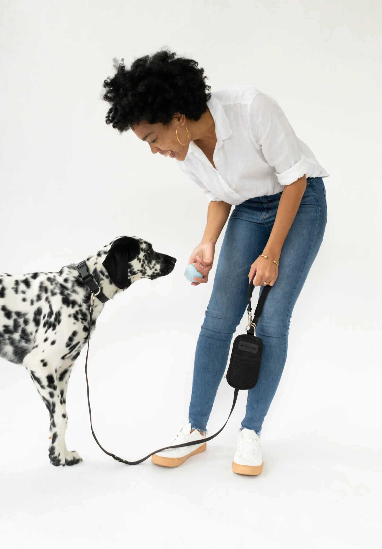 Walk Bag   Leash by Springer