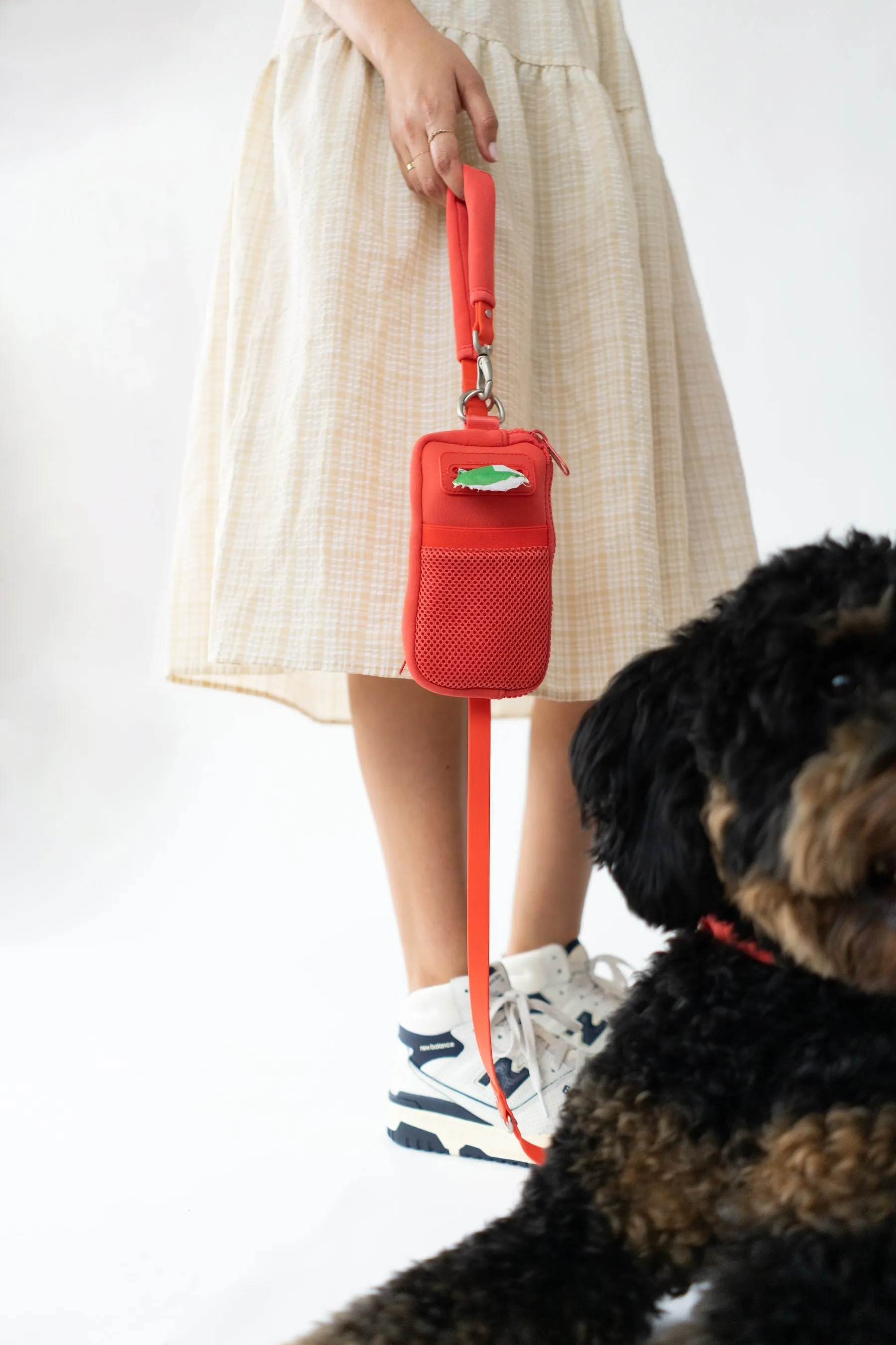 Walk Bag   Leash by Springer